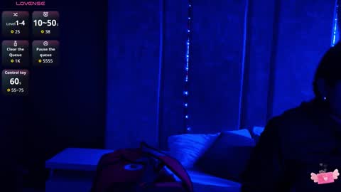     online show from 28, 11, 2025