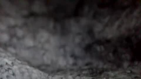 e-Bizl online show from 7, 12, 2024