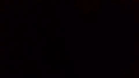 e-Bizl online show from 11, 2, 2025