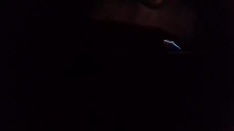 e-Bizl online show from 7, 3, 2025