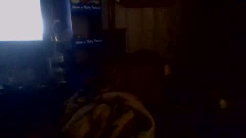 e-Bizl online show from 2, 11, 2025