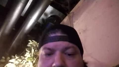 gleeguy online show from 5, 11, 2025