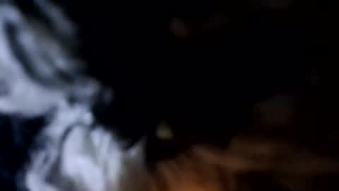 glizzy4u online show from 19, 12, 2025