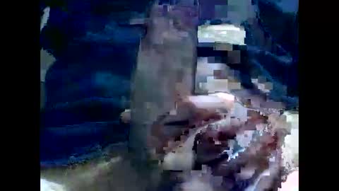 Snapshot of gmjavenger chatting on 2, 12, 2024 PencilDick online show from 2, 12, 2024
