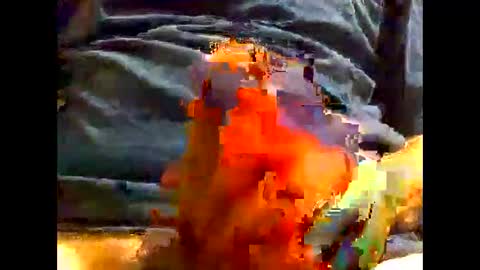 Snapshot of gmjavenger chatting on 5, 12, 2024 PencilDick online show from 5, 12, 2024