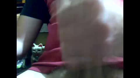 Snapshot of gmjavenger chatting on 17, 1, 2025 PencilDick online show from 17, 1, 2025