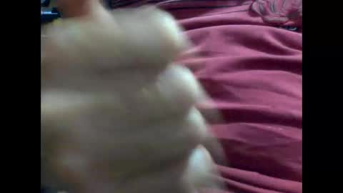 Snapshot of gmjavenger chatting on 9, 2, 2025 PencilDick online show from 9, 2, 2025