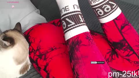 Goddess EmmaBratt princess online show from 3, 2, 2026