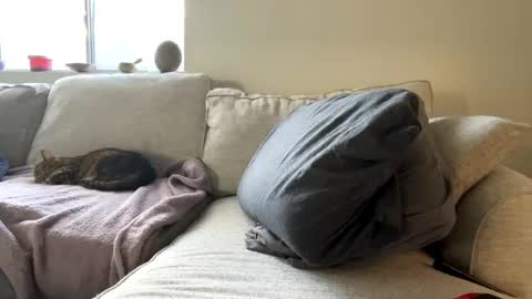 GoddessMayvn online show from 11, 2, 2025