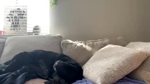 GoddessMayvn online show from 17, 2, 2025