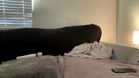Snapshot of goddessmayvn chatting on 2, 7, 2026 GoddessMayvn online show from 2, 7, 2026