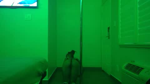 Snapshot of gogetter4life213 chatting on 2, 2, 2025 gogetter4life213 online show from 2, 2, 2025