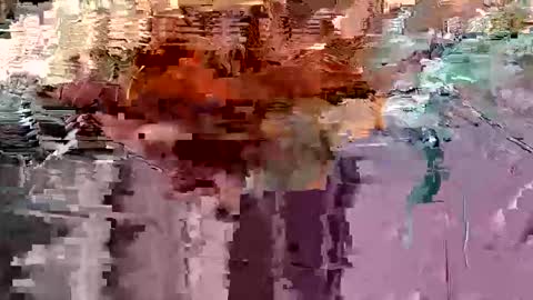 gonadalache online show from 17, 11, 2025