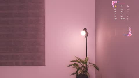 Rose  online show from 19, 5, 2026