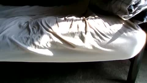 watch me stroke online show from 27, 2, 2026