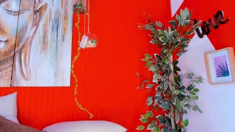 grace online show from 20, 2, 2025