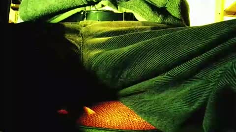 Snapshot of grapefruit chatting on 12, 11, 2025 grapefruit online show from 12, 11, 2025