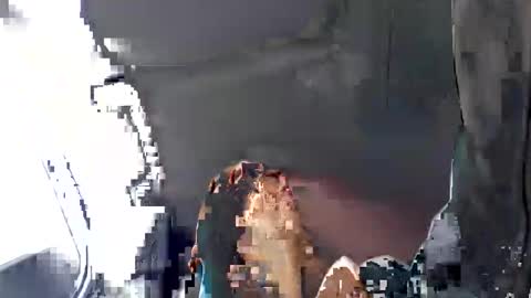 grattitude online show from 4, 10, 2025