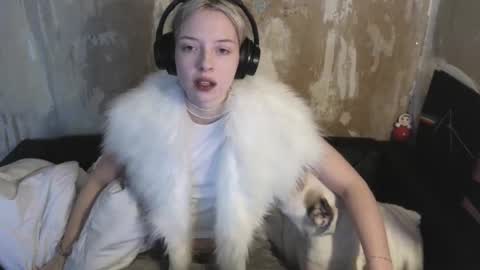 graylovescookies online show from 19, 12, 2024