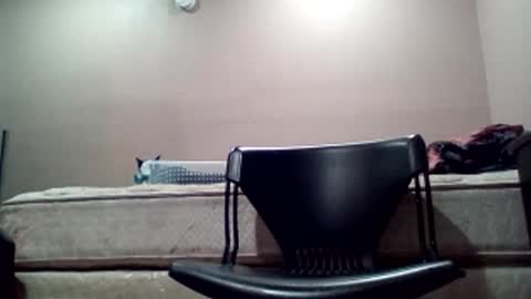 Jack online show from 19, 2, 2026