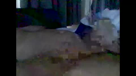 Snapshot of grittslappa chatting on 3, 5, 2026 grittslappa online show from 3, 5, 2026