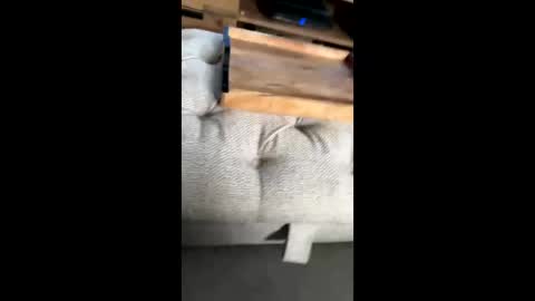 gt79802068 online show from 22, 11, 2025