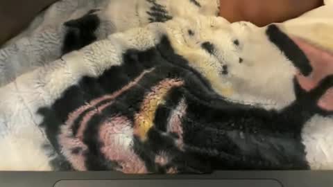 Snapshot of gumbywanna chatting on 4, 5, 2026 gumbywanna online show from 4, 5, 2026