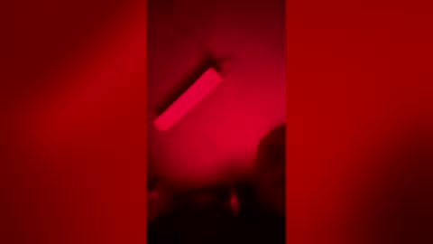 gypsynova777 online show from 14, 4, 2026