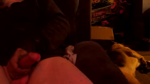 h0tttsteel online show from 14, 3, 2026