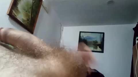 h_rd333 online show from 24, 3, 2026