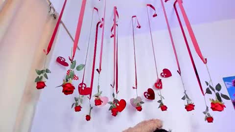 hailey_hadid online show from 11, 2, 2026