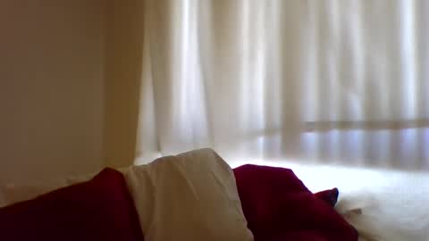 Hailey online show from 11, 2, 2025