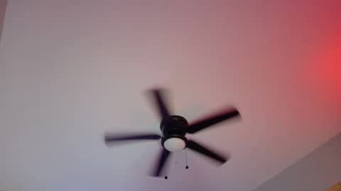  Hailey  online show from 8, 3, 2025