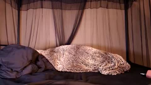 HailWilds online show from 12, 9, 2025