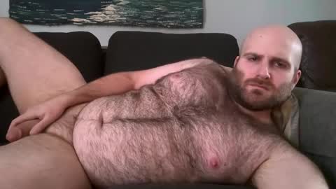 Snapshot of hairiestbear chatting on 11, 2, 2025 Hairiest Bear online show from 11, 2, 2025