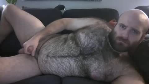 Hairiest Bear online show from 21, 12, 2025