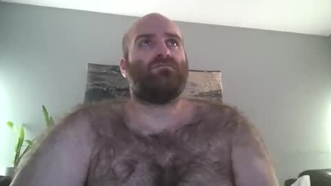 Hairiest Bear online show from 23, 12, 2025