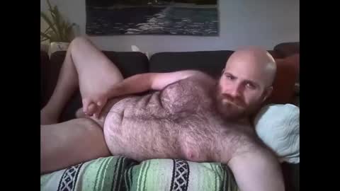 Hairiest Bear online show from 13, 5, 2026
