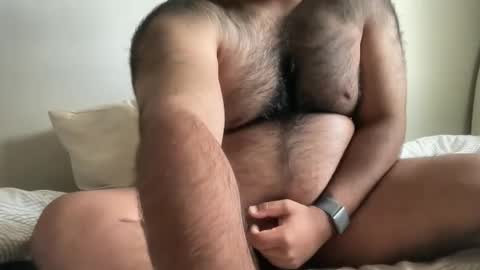 Snapshot of hairyaussie00 chatting on 4, 12, 2024 hairyaussie00 online show from 4, 12, 2024