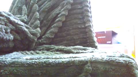 HairyHornyTwinkk online show from 14, 11, 2025