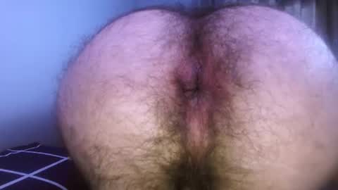 Snapshot of hairyzod chatting on 17, 7, 2026 Zod Bakcheia online show from 17, 7, 2026