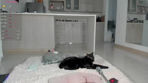 insta Laupalacio777Next stream 01th December online show from 12, 12, 2024