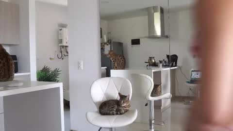 insta Laupalacio777Next stream 01th December online show from 23, 2, 2025