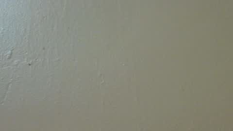 hamhead71 online show from 4, 2, 2025