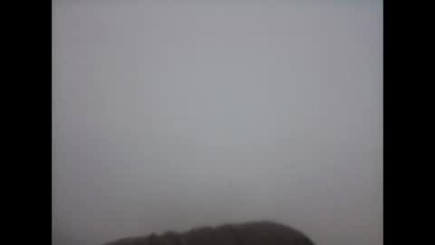 hammer9217 online show from 8, 9, 2025