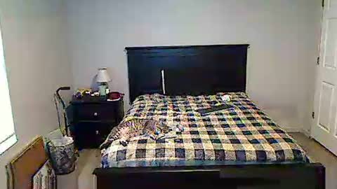 Snapshot of hammerthatthang73 chatting on 17, 5, 2026 hammerthatthang73 online show from 17, 5, 2026