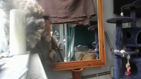 handncocknocum online show from 9, 12, 2024