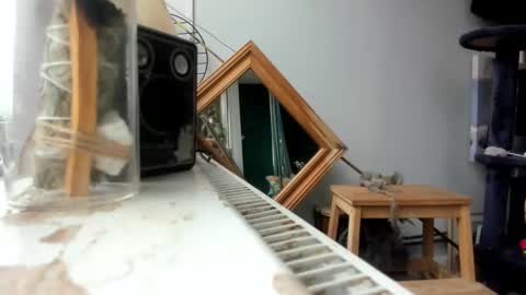 handncocknocum online show from 19, 2, 2025