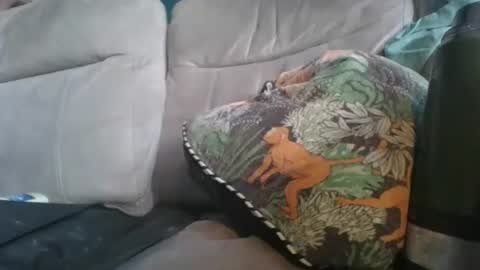 handncocknocum online show from 6, 1, 2026