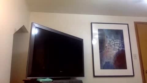 handsome01_ online show from 23, 12, 2025